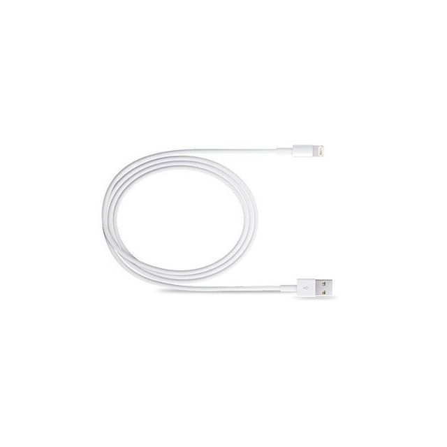 Cable de carga USB a lighting para iPhone (GSC 001403687)