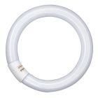 Tubo fluorescente circular Trifósforo Lumilux G10q 40W 4000°K 3200Lm 29x406mm. (Osram 014845)