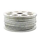 1m. Tira Led autoadhesiva 12W 230V 3000°K IP65 SMD (Ledesma 54914)