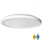Plafón Led de superficie con  botón de selección de tonalidad  24W  Ø 295mm. (F-Bright 2801574)