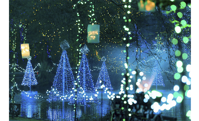 Festival de las luces de Vandusen