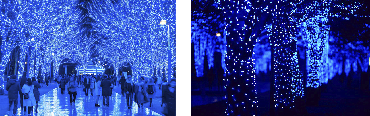 Iluminaciones de invierno de tokio, la caverna azul